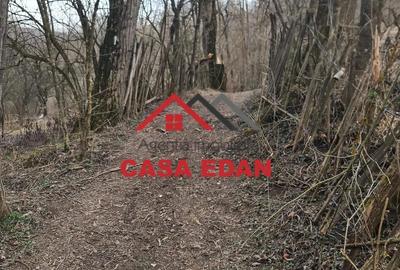 Teren de 3448 mp, în Provița de Jos - 6