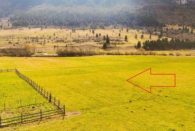 Zarnesti, str. Barsei, intravilan, priveliste Piatra Craiului, PUZ aprobat - 3