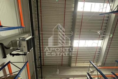 Hala 1200 mp pentru depozitare+rafturi industriale incluse, Dumbravita - 3