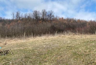 Casa, Valea Mare, Stefanesti, 65000 euro - 5