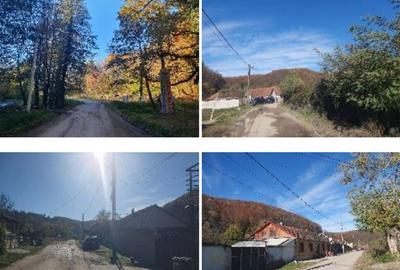 Casa si teren- Loc. Dognecea, jud. Caras-Severin - 3