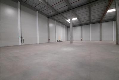 Spatiu Industrial - 6200 mp - Logistica - Productie - Depozitare - Distributie - 6
