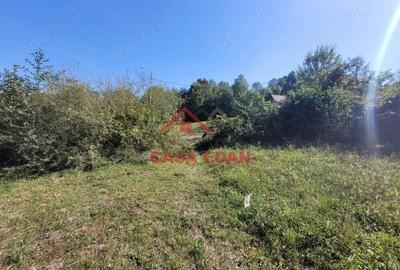 Teren intravilan in Poiana Campina 4285 mp parcelabil 11,6e - 2