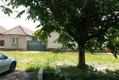 Casă cu 4 camere cu Teren 1490 Mp în Gătaia - 1