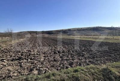 Teren de 5800 mp, în Dej - 1