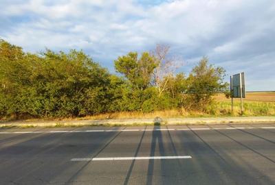 Teren intravilan de 4250 mp, în Uzunu - 3