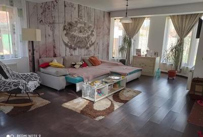 Casa zona Closca str. Muncitorilor Satu Mare - 9