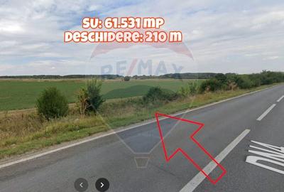 Teren agricol extravilan de 61531 mp, în Mitreni - 2