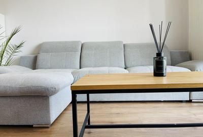 Apartament cu 2 camere decomandat, mobilat în Lipovei - 12