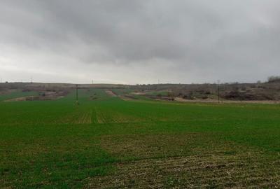 Teren de 5150 mp, în Central - 7