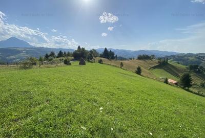 Teren intravilan 3791 mp cu priveliste deosebita si PUZ aprobat - 6