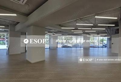 Spațiu comercial, de 6,323 mp, în Victoriei - 14