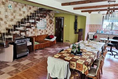 Cabana de vacanta Casoaia jud. Arad - 10