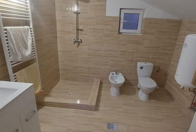 Casă cu 3 camere cu Teren 5000 Mp în Livezeni - 5