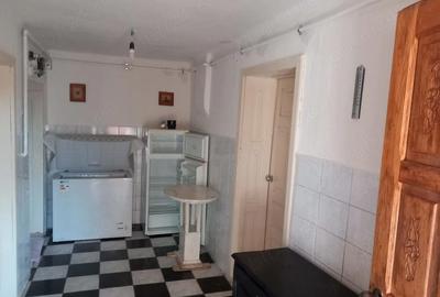 Casă cu 2 camere cu Teren 2100 Mp în Bichiș - 3