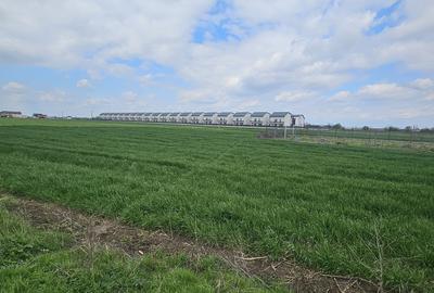 Magurele, Varteju - 4