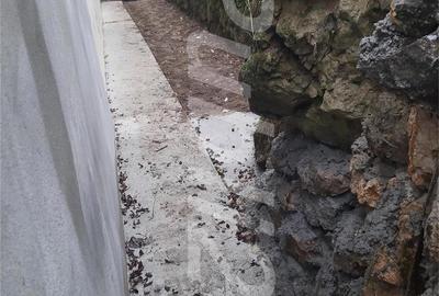 Casă cu 6 camere cu Teren 6000 Mp în Pietreni - 4