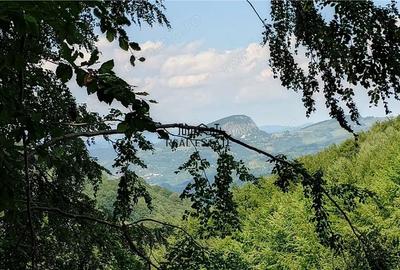 Teren de 5727 mp, în Buceș - 6