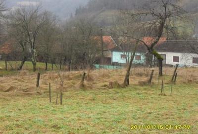 Teren de 1924 mp, în Rănușa - 4