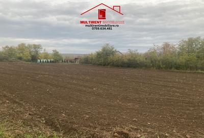 Casă cu 3 camere cu Teren 3895 Mp în Rândunica - 7