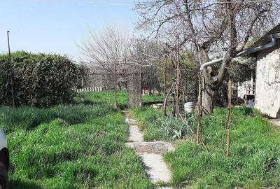 Casă cu 2 camere cu Teren 1200 Mp în Sintea Mare - 8