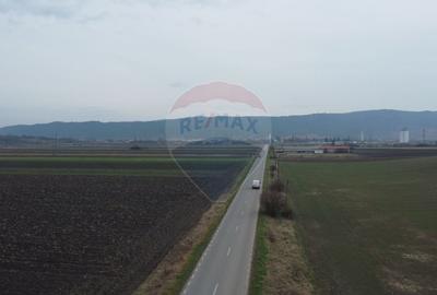 Teren de investitie 9800 mp.Luna de Jos. Acces direct din DJ161 - 6