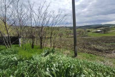 Teren Construcții intravilan de 3150 mp, în Roșiori - 1