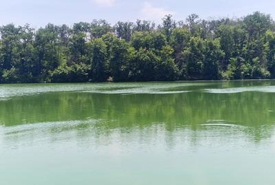 Teren 2110 mp de vanzare  – Brănești, Ilfov, locație unică lângă lac și pădure - 2