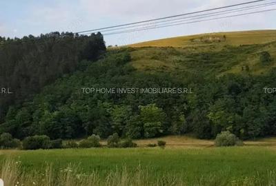 Exclusivitate! Teren intravilan in Luna de sus! - 2