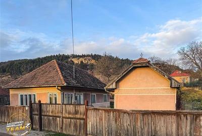 FILM! Gospodarie cu atmosfera traditionala,1.032 mp de verde si gradinarit, Sanz - 13