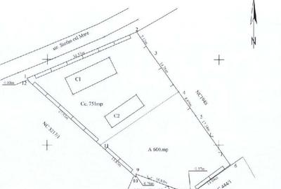 Casă cu 5 camere cu Teren 1351 Mp în Cernica - 3