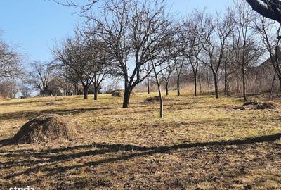 Teren de 1450 mp, în Feleacu - 3