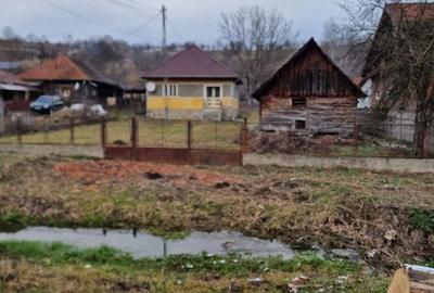 Casă cu 3 camere cu Teren 3300 Mp în Luncoiu de Jos - 3