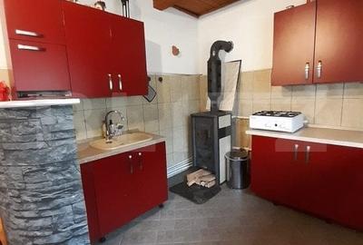 Cabana de lemn, 7 camere - afacere la cheie - Brasov - 7