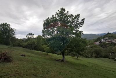 Teren cu priveliste spectaculoasa, 4000mp, la 18km de Sinaia - 3