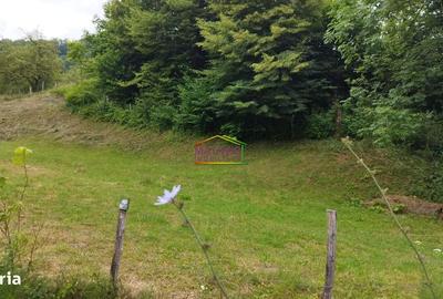 Spațiu comercial, în Livadea - 2