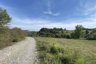 Casa de vanzare+teren - 3