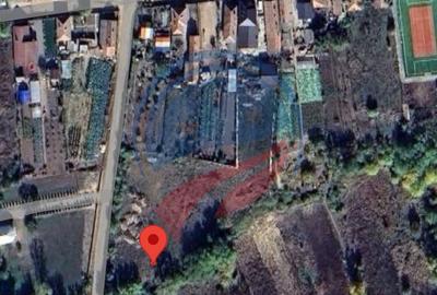 Teren de vanzare/ Secui/ Teasc/Dolj - 3