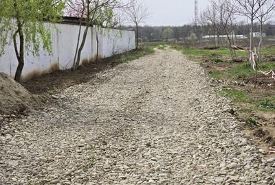 Teren Construcții intravilan de 4783 mp, în Ciolpani - 4