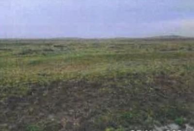 Teren pasune Luciu, cota parte 10000/407492 ; ID: R2766691 - 2