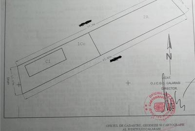 Casă cu Teren 978 Mp în Podu Pitarului - 1