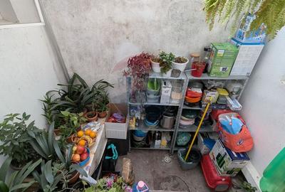 Casă cu 11 camere cu Teren 330 Mp în Iancului - 54