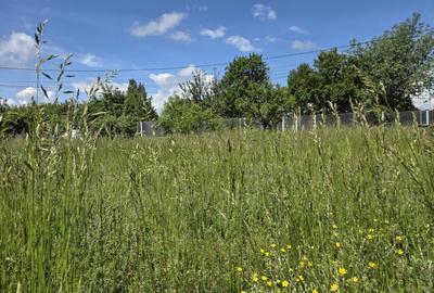 Teren intravilan de 500 mp, în Stupini - 5