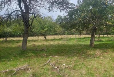 Teren de 15826 mp, în Central - 3