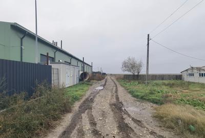 Topraisar langa Biosera Sofra teren 4649 mp cu hala 347 mp - 2