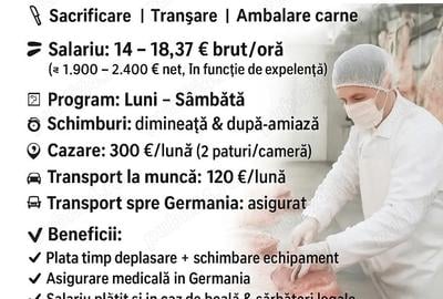 Angajeaza personal - 1