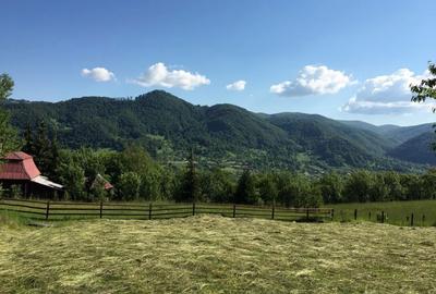 Casă cu 4 camere în Dulcea - 1