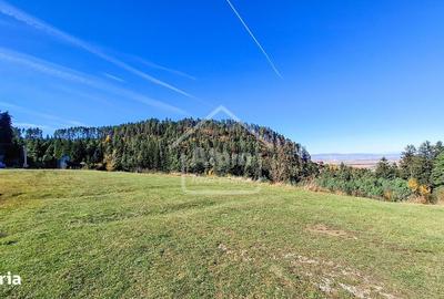 Teren de 3000 mp, în Poiana Angelescu - 6