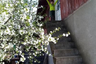 Casă cu 3 camere în Popești - 1