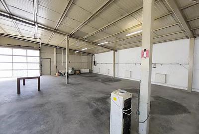 Hala produc?ie, depozitare, Cristian - Bra?ov. - 2